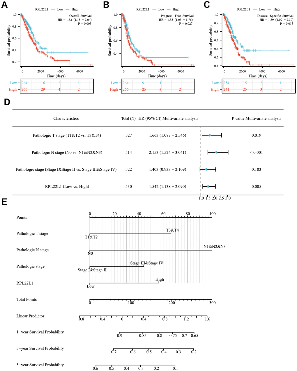 RPL22L1 was an independent variable for predicting OS in LUAD. (A) OS. (B) PFS. (C) DSS. (D) Forest plot display of the results of the multivariate Cox regression analysis of RPL22L1 and clinical characteristics in LUAD. (E) Nomograms were developed to estimate the likelihood of OS at 1-, 3-, and 5-year intervals in patients with LUAD.