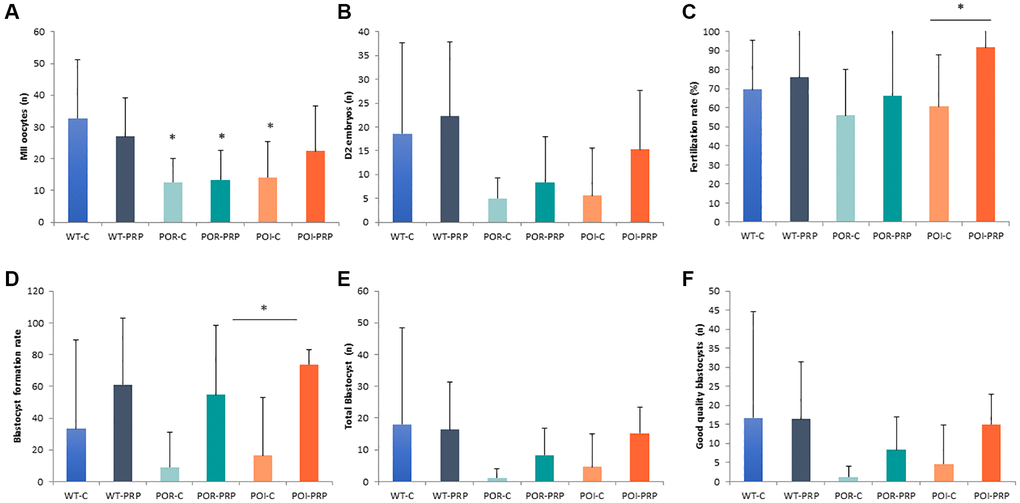 Reproductive outcomes in chemotherapy-induced POR and POI mice model using the CD1 strain. (A) MII oocytes (n) and (B) Day 2 embryos collected from the oviduct. (C) Fertilization rate. (D) Blastocyst formation rate (%), (E) total amount of blastocyst obtained after in vitro embryo culture. (F) Good quality blastocysts. Data are presented as mean ± Standard Deviation (SD). *p U-tests for two-by-two comparisons.