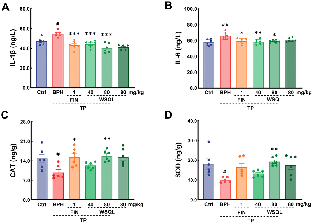 Effect of WSQL on expressions of (A) IL-1β and (B) IL-6 in serum, and (C) CAT, (D) SOD in prostate tissue of mice. Data are expressed as means ± SEM. ##p #p p p p n = 6 for (A–D).