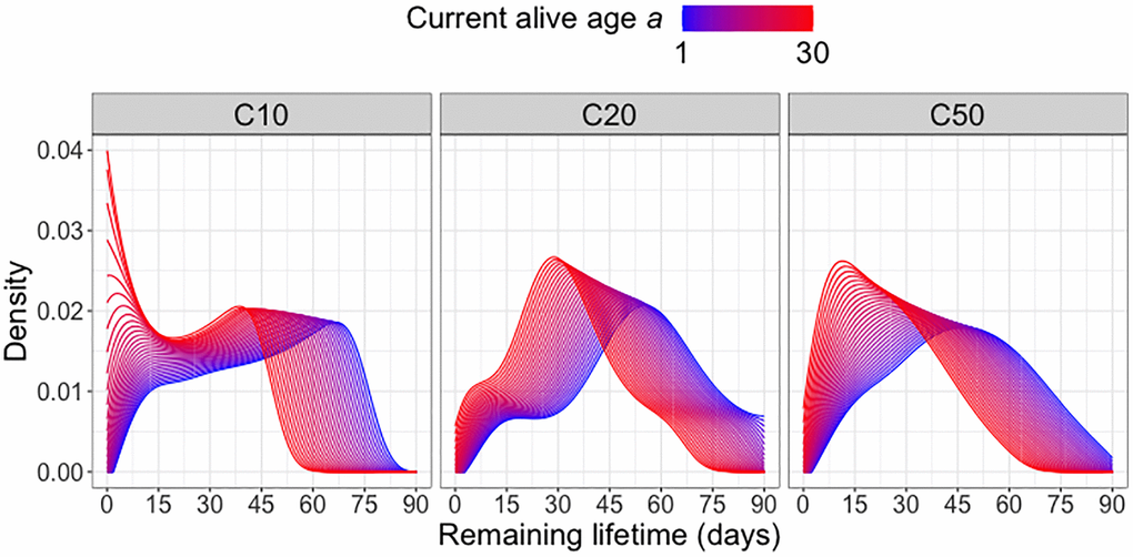 Remaining lifetime distribution for different diet groups. Predicted remaining lifetime distributions (visualized as densities) at different values of current alive age a, where a varies from a = 1 (blue) to a = 30 (red), for three different diet groups C10, C20, C50 (yeast hydrolysate content 10%, 20% and 50%), using global Fréchet regression (4) (see Appendix).