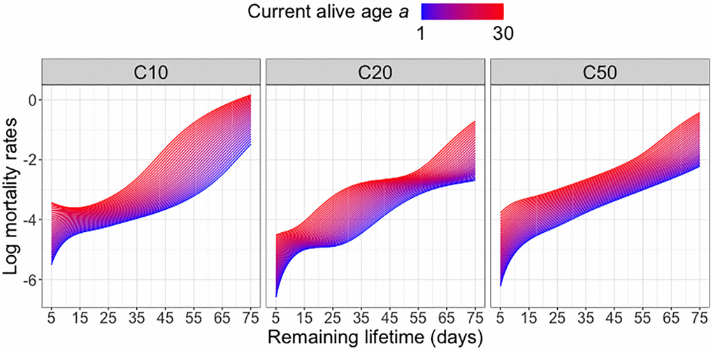 Log mortality rates for different diet groups. Log mortality rates (log hazard functions) of predicted remaining lifetime distributions across varying current alive ages a at which a subject is still alive for different diet groups; see equation (4) in the Appendix.