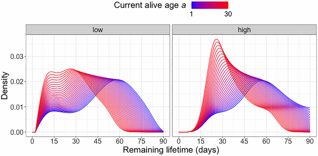 Remaining lifetime distribution for different activity levels. Predicted remaining lifetime distributions (visualized as densities) at varying alive ages a at which a subject is still alive and low (below median)/high (above median) activity levels, using global Fréchet regression (see (4) in the Appendix). Only C20-fed (yeast hydrolysate content 20%) flies are included in the analysis.