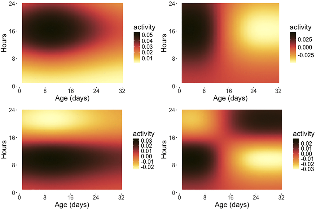 Eigensurfaces for early age medfly activity data. The first four eigensurfaces for product functional principal component analysis are depicted, with  ϕ1(t)ψ1(s) (top left, 13.62%),  ϕ2(t)ψ1(s) (top right, 8.62%),  ϕ1(t)ψ2(s) (bottom left, 3.65%) and  ϕ2(t)ψ2(s) (bottom right, 1.50%) as per (5), where the percentages represent the fraction of variance explained by the respective eigensurface and the  ϕj are the eigenfunctions reflecting the variation over the age span in days while the ψk are the eigenfunctions for the intra-day variation. The x-axis indicates the age coordinate t (measured in days) and the y-axis represents the hour coordinate s within a given day (0–24 hours). Only flies surviving 32 days are included in this analysis.