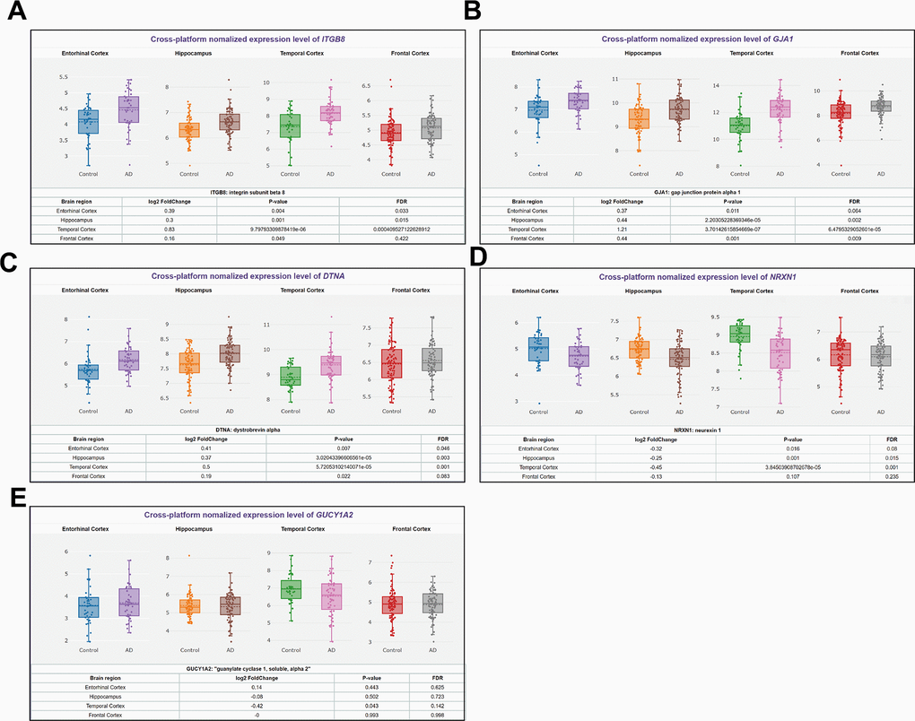 Differences in expression levels of 5 predicted mRNAs in primary brain tissues of AD patients. (A) ITGB8, (B) GJA1, (C) DTNA, (D) NRXN1, and (E) GUCY1A2 expression in Entorhinal Cortex, Hippocampus, Temporal Cortex, Frontal Cortex.