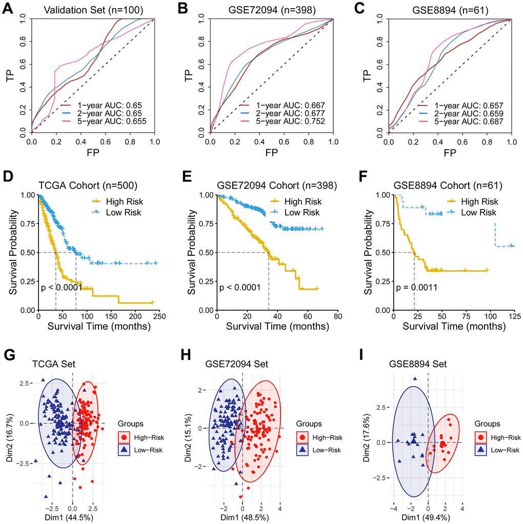 Validation of the predictive ability of the ferroptosis-related gene signature. (A–C) A receiver operating characteristic (ROC) curve was performed and area under the curve (AUC) was calculated in the validation set and two external test sets (GSE72094 and GSE8894). (D–F) Survival analysis was performed in the TCGA cohort, the GSE72094 cohort, and the GSE8894, respectively. (G–I) Principal component analysis of genes consisting the prognostic ferroptosis-related signature revealed a distinct expression pattern between the low- and the high-risk groups in dimensionality.