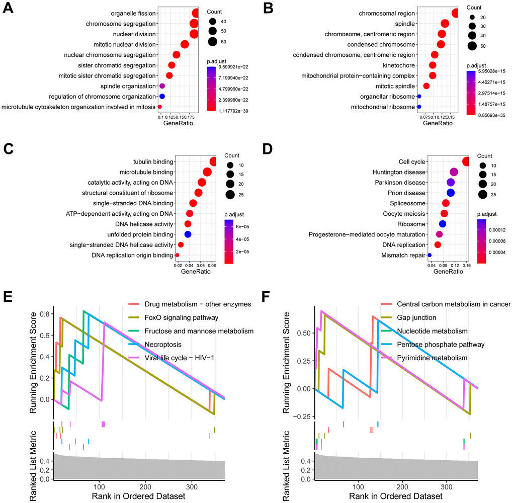 Investigation of the signature-related biological function. (A) Enriched terms of biological process in gene ontology analysis. (B) Enriched terms of cell component in gene ontology analysis. (C) Enriched terms of molecular function in gene ontology analysis. (D) Enriched terms of KEGG pathway in gene ontology analysis. (E, F) Enriched terms of KEGG pathway in gene set enrichment analysis (GSEA).