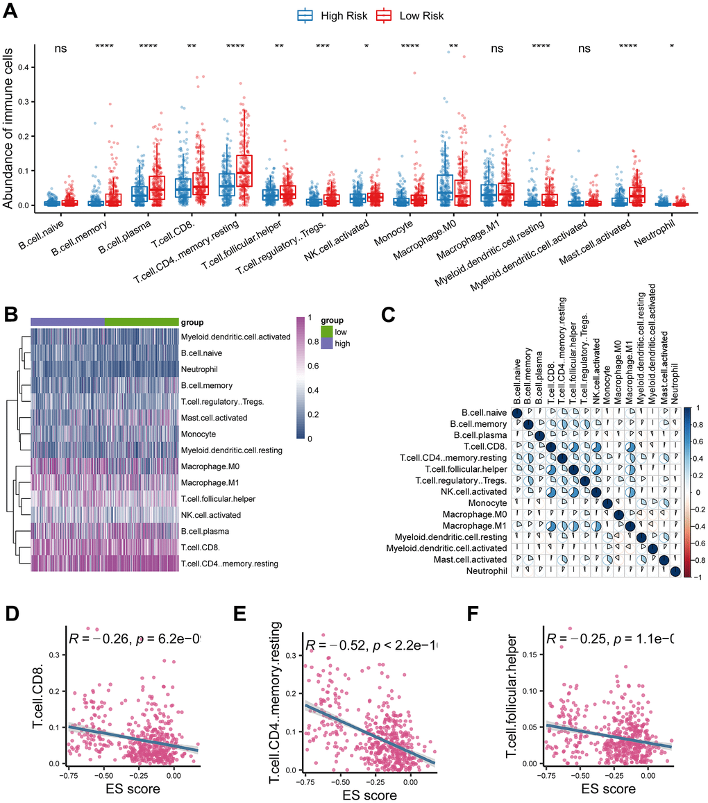 Investigation of tumor immune microenvironment of lung adenocarcinoma. (A) Comparison of tumor-infiltrating immune cells between cancerous and normal tissue. (B) Heatmap analysis of tumor-infiltrating immune cells in lung adenocarcinoma. (C) Correlations analysis of tumor-infiltrating immune cells in lung adenocarcinoma. (D–F) The risk score based on the ferroptosis-related gene signature was negatively correlated with CD8 T cell, CD4 T cell, and follicular helper T cell. * represents P P P 