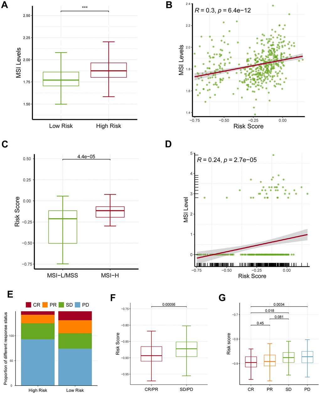 Effects of the ferroptosis-related gene signature on response to ICB. (A) The high-risk patients had a higher MSI level than the low-risk patients based on ssGSEA approach. (B) The risk score was positively correlated with MSI level based on ssGSEA approach. (C) MSI-H patients had a higher risk score level than MSI-L/MSS patients based on UCSCXenaShiny approach. (D) The risk score was positively correlated with MSI level based on UCSCXenaShiny approach. (E) The high-risk group had a higher proportion of stable disease (SD) and progressive disease (PD) than the low-risk group. (F, G) The SD/PD patients had an increased risk score than the CR/PR group. MSI: microsatellite instability; MSS: microsatellite stability, MSI-L: microsatellite instability-low, MSI-H: microsatellite instability-high, SD: stable disease, PD: progressive disease, CR: complete response, PR: partial response. * represents P P P 