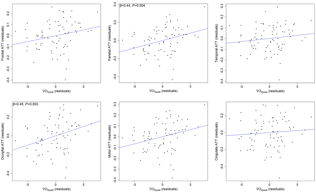 Partial regression associations between regional ATT and cardiorespiratory fitness, adjusted for age, sex, and BMI. Older adults with higher cardiorespiratory fitness experience longer ATT in parietal and occipital regions (n = 77). Abbreviations: ATT: arterial transit time; BMI: body mass index; V̇O2peak: peak oxygen consumption.