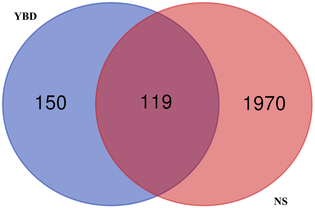 Venn diagram of overlapping targets on YBD and NS. The blue circle represented the targets of YBD, and the red circle represented the targets of NS. The part of the two intersecting circles represented the overlapping targets.