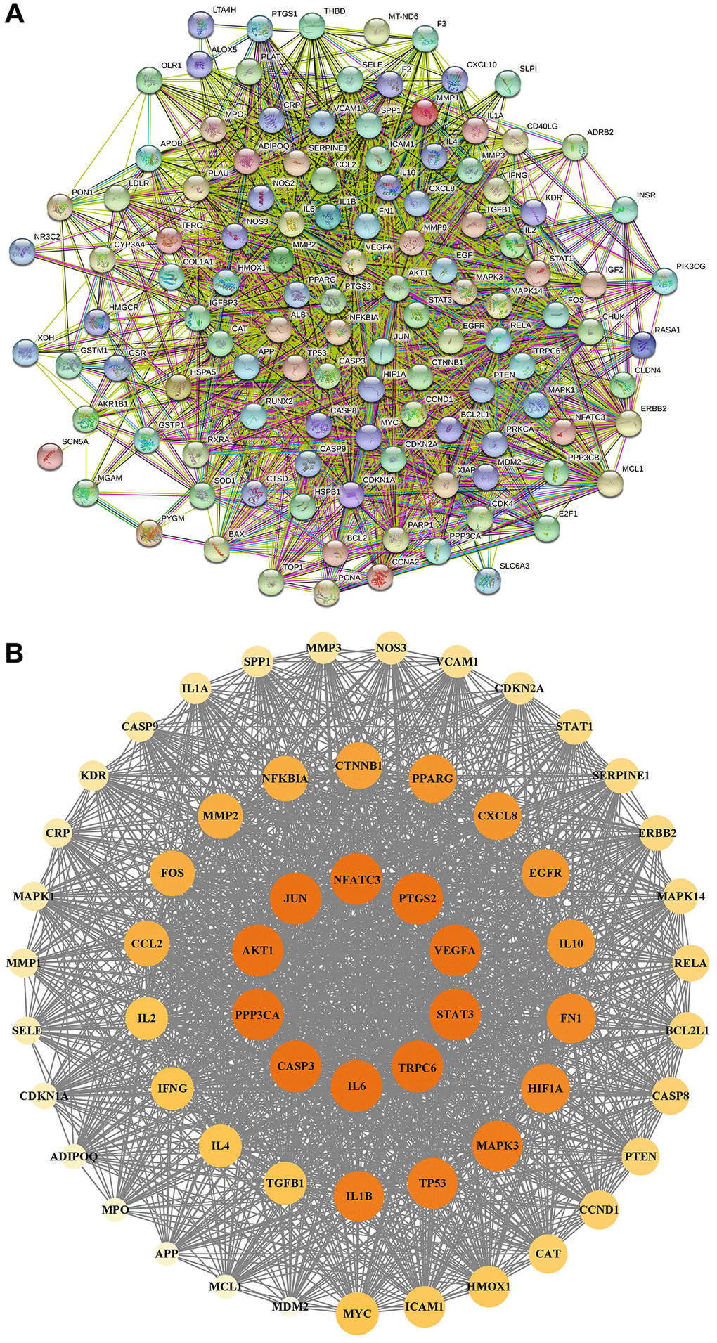 PPI network construction. (A) PPI network of potential therapeutic targets for YBD against NS through STRING database. (B) PPI network of core targets for YBD against NS through Cytoscape software. Colors from faint yellow to deep yellow are proportional to the degrees of nodes.