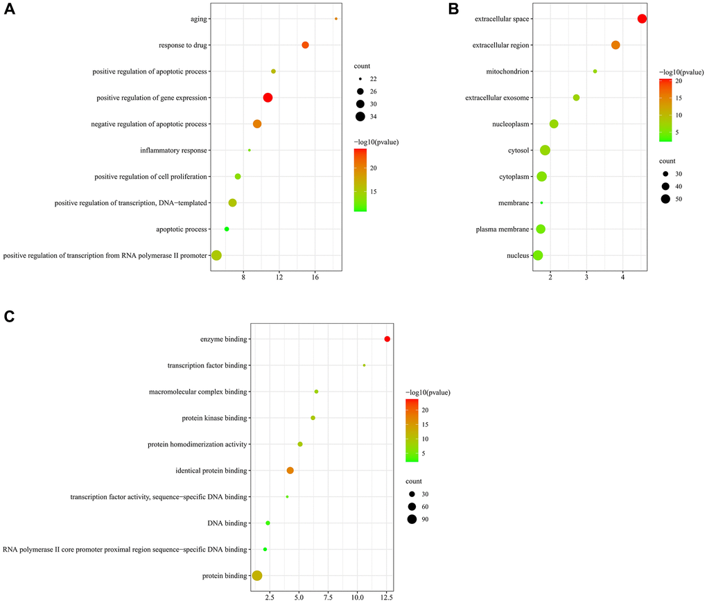 GO enrichment analysis of 119 overlapping targets by DAVID database. (A) the top 10 enriched terms in BP. (B) The top 10 enriched terms in CC. (C) The top 10 enriched terms in MF.