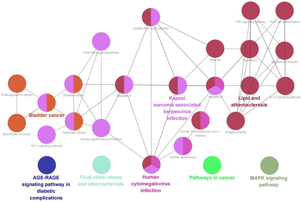 KEGG pathway analysis of 119 overlapping targets through ClueGO.