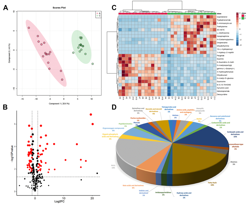 Metabolic differences in FF between group A and group C. (A) PLSDA score plot; (B) volcano plot of differential metabolites, each point represents a differential metabolite, the horizontal coordinate represents the log2 fold change of the metabolite, and the vertical coordinate represents the P-value (log10 transformed); (C) heatmap of top 25 differential metabolites; (D) sub-classification of differential metabolites.