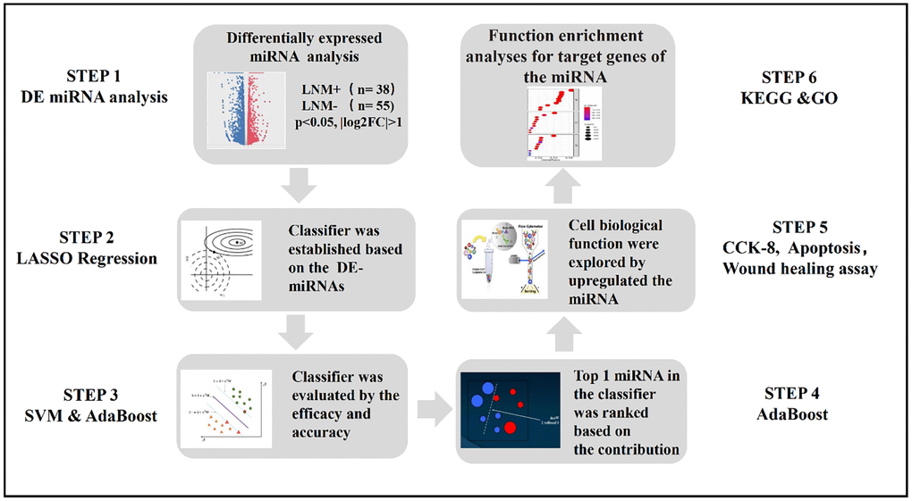 The flowchart of this study.