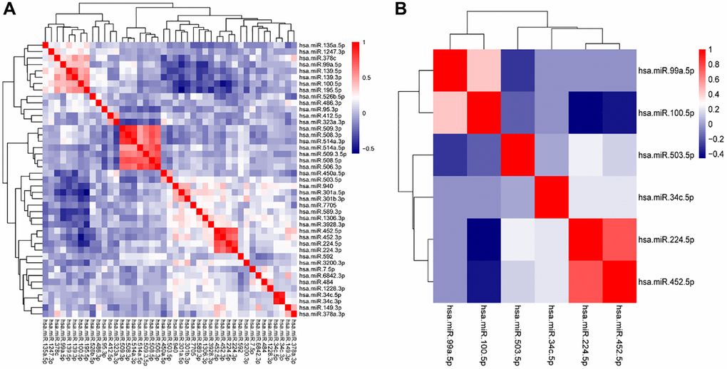 Variable selection by LASSO. (A) Hierarchical clustering shows the correlation matrix heatmap of 43 DE-miRNAs from the differential expression analysis. (B) Hierarchical clustering shows the correlation matrix heatmap of 6 DE-miRNAs which consisted of the classifier from LASSO regression analysis. Each cell represents the Pearson correlation between the row and column corresponding miRNAs. The legend shows the color change along with the change of correlation coefficient from 0.0 to 1.0.