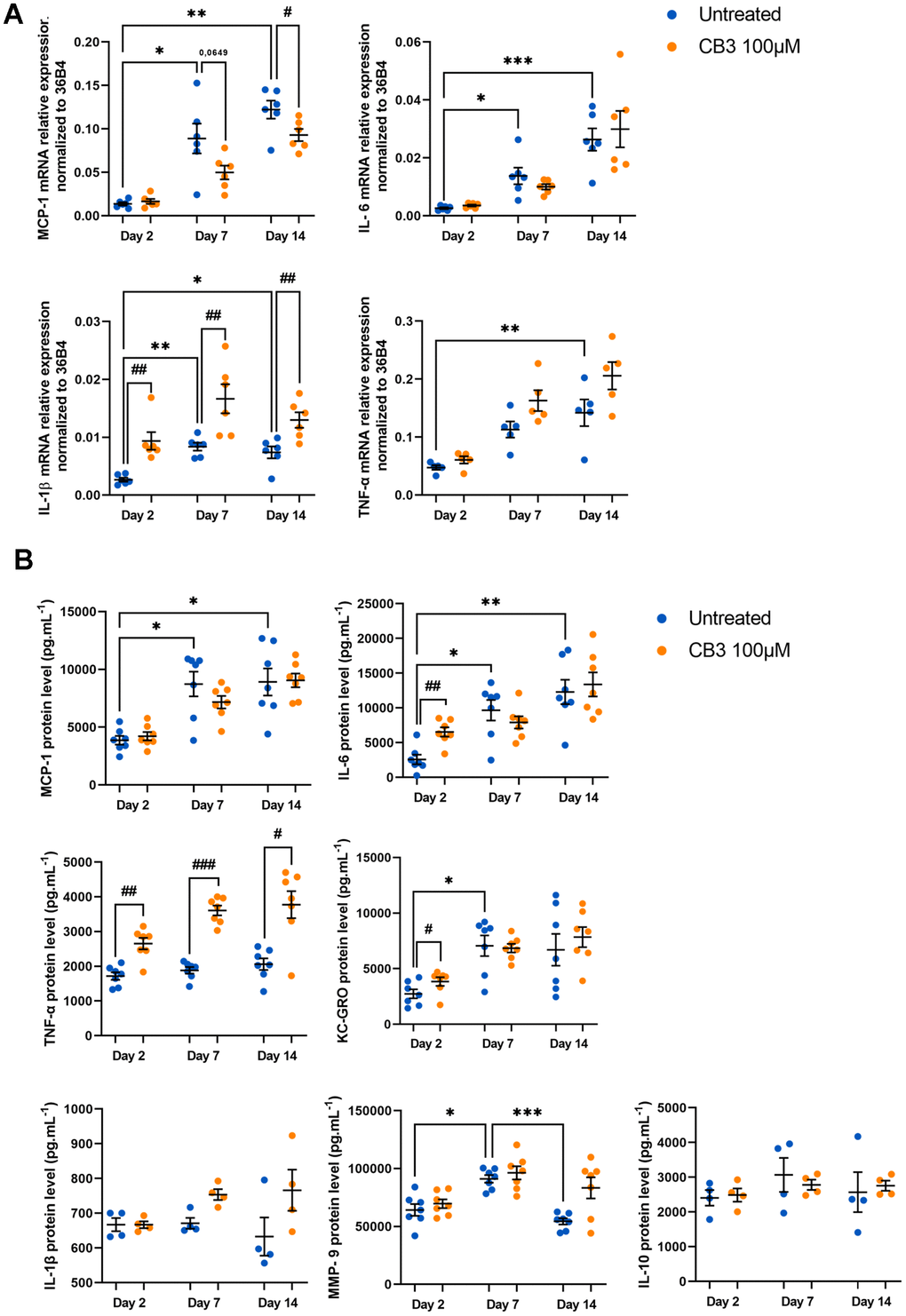 CB3 effects on inflammatory phenotype in aged macrophages in vitro. Macrophages are chronically treated with 100uM CB3 for up to 14 days. (A) RT-qPCR analysis for SASP markers MCP-1, IL-6, IL-1b and TNF-a transcripts normalized to 36B4 (n=7). (B) MCP-1, IL-1β, IL-6, TNF-α, KC-GRO, IL-10 and MMP-9 protein levels assessed by MSD multiplex on conditioned media harvested 24h after serum derivation (n=6). Error bars represent the mean ± SEM. p-values were obtained comparing groups overtime using a non-parametric one-way ANOVA analysis (Kruskal-Wallis analysis followed by Dunnett’s multiple comparison test; *pppppp