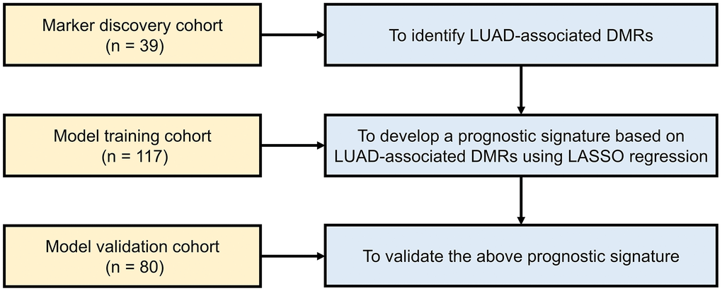 Work flow of the study. Abbreviations: LUAD: lung adenocarcinoma; DMR: differentially methylated region; LASSO: least absolute shrinkage and selection operator.