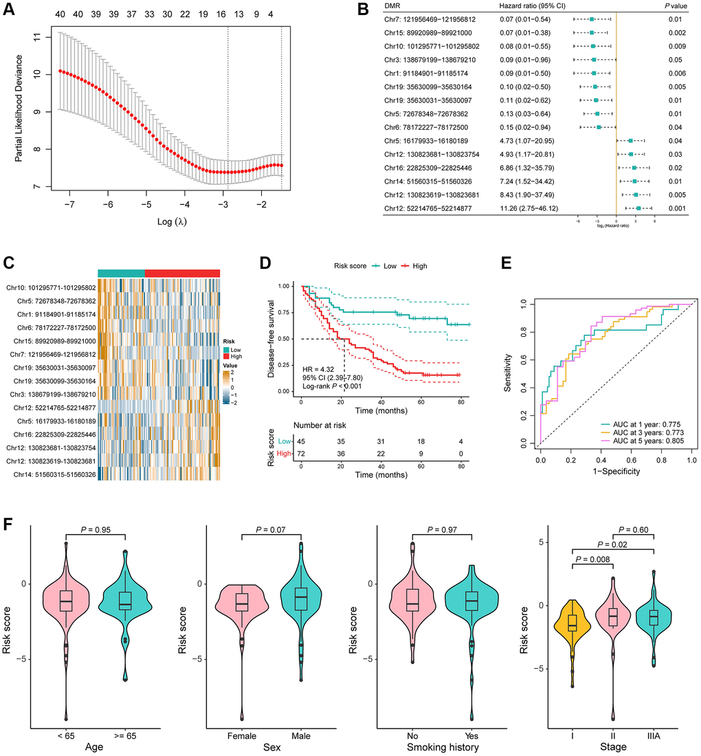 Construction of a 15-DMR prognostic signature in the model training cohort. (A) LASSO penalized Cox regression analysis yielded 15 DMRs for the recurrence risk predicting model construction. (B) Hazard ratio with 95% confidence interval (CI) and P-value of the 15 DMRs in the univariable Cox regression analysis for disease-free survival (DFS). (C) Heatmap of the methylation value of the 15 DMRs in low-risk (n = 45) and high-risk (n = 72) groups. (D) Kaplan-Meier (KM) curves for DFS in the model training cohort. (E) Time-dependent receiver operating characteristic (ROC) curves in the model training cohort. (F) Comparison of the risk score in the different clinical subgroups including age, sex, smoking history, and TNM stage.