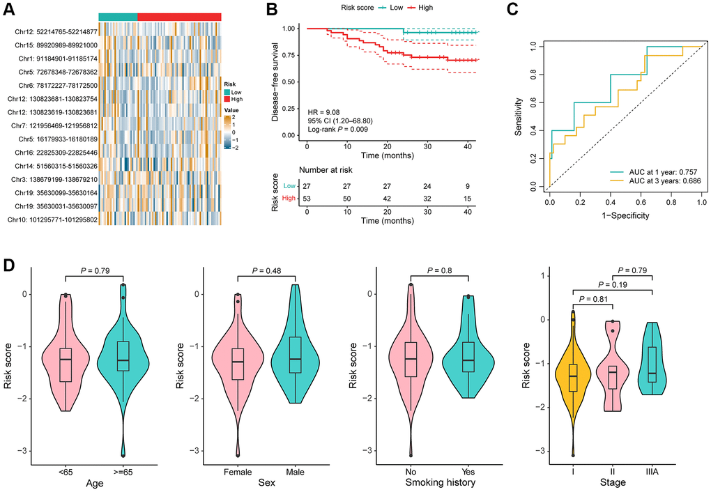 Performance of the DMR signature in the model validation cohort. (A) Heat map of the methylation value of the 15 DMRs in low-risk (n = 27) and high-risk (n = 58) groups. (B) KM curves for DFS in the model validation cohort. (C) Time-dependent ROC curves in the model validation cohort. (D) Comparison of the risk score in the different clinical subgroups including age, sex, smoking history, and TNM stage.