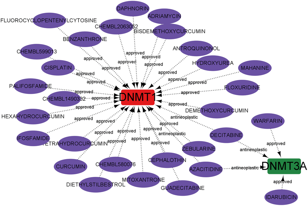 Prediction of marker gene-targeted drugs.