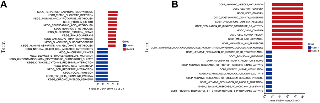 GSVA biological functional analysis. (A) The KEGG pathway analysis. (B) The GO function analysis.