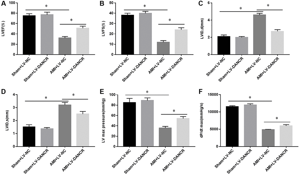 Effects of DANCR overexpression on the cardiac function of AMI mice. LV-DANCR and LV-NC were intramyocardially injected into the apex with a 30-G needle 24 h after AMI surgery. And 21 days after AMI, cardiac function of mice was measured by using metrics including (A) left ventricular ejection fraction (LVEF), (B) left ventricular fractional shortening (LVFS), (C, D) diastolic and systolic left ventricular internal diameter (LVID,d and LVID,s), (E) left ventricular (LV) maximum pressure and (F) dP/dt maximum rate. *P 