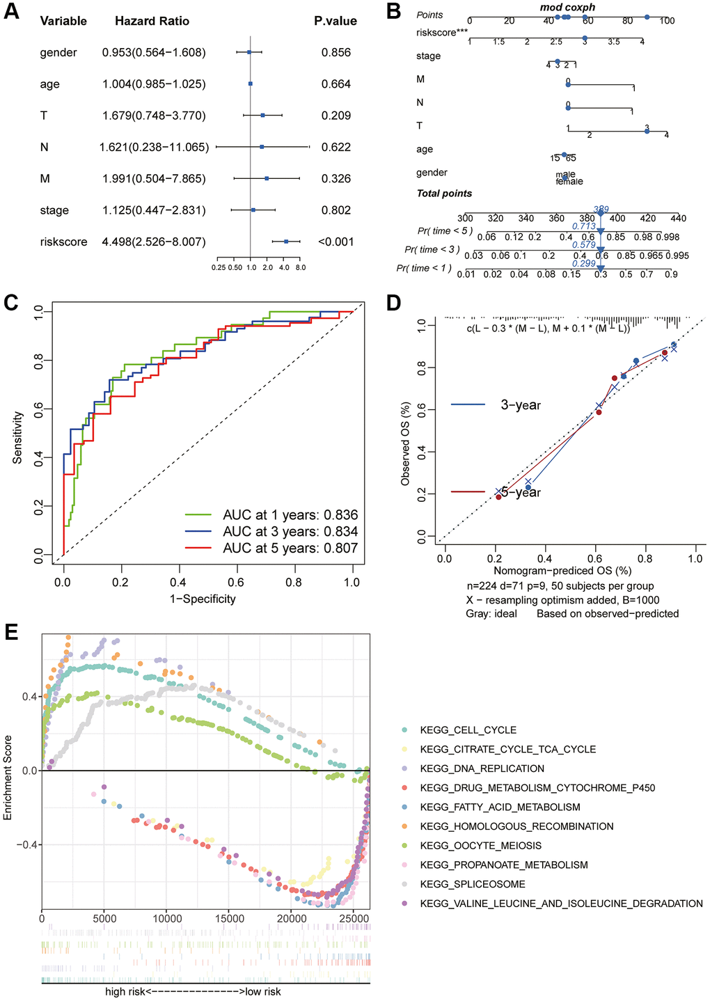 Prognostic value of the riskScore gene signature. (A) Forest plot showing the riskScore was an independent prognostic biomarker using multivariate analyses. (B) The nomogram was constructed to predict the probability of patient mortality. (C) The Predictive efficacy of nomogram score on prognosis. (D) The calibration plot of nomograms between predicted and observed 3-year and 5-year outcomes. The 45-degree line represented the ideal prediction. (E) The GSEA enrichment reveals two significantly activated signaling pathways, including the cell cycle pathway.