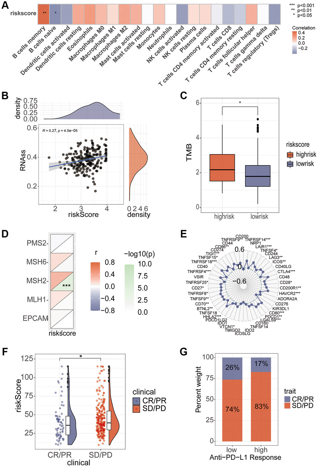 Association of riskScore with immunity. (A) Correlation of riskScore with immune cells. (B) Tumor stem cell relevance. (C) Differences in TMB scores in high and low risk groups. (D, E) Correlation of Mismatch Repair gene and immune checkpoints with riskScore. (F, G) Assessing differences in risk scores between immune efficacy groups.