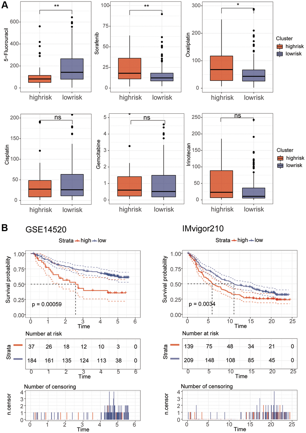 Drug sensitivity and model validation. (A) The sensitivity of various drugs was assessed between the high and low risk groups. (B) GSE14520 and IMvigor210 were used to verify the accuracy of the model.