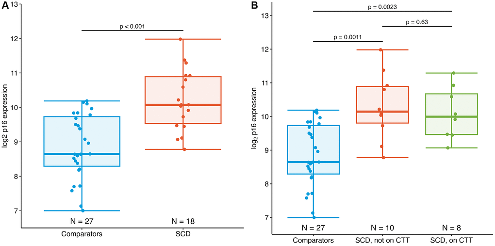 Expression of PBTL p16INK4a in AYAs with SCD. (A) Mean p16 expression in AYAs with SCD (10.1 log2 p16 units) is significantly elevated compared to those without SCD (8.7 log2 p16 units), p B) Expression of p16 in individuals with SCD did not differ by chronic transfusion therapy (CTT) status.