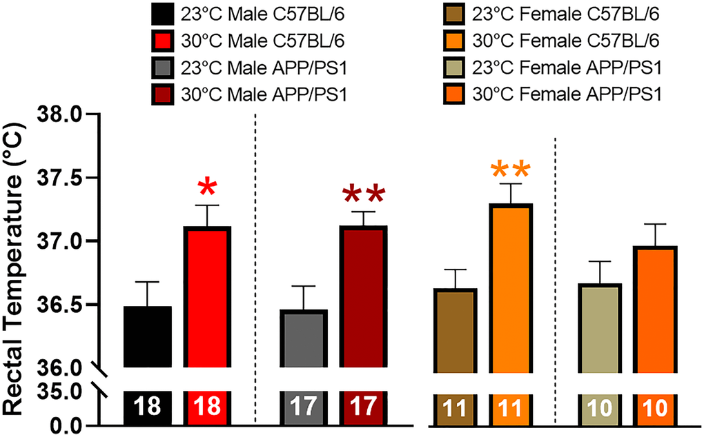 Effects of thermotherapy on Tc. Rectal temperature was determined before (23°C) and after one month of thermotherapy treatment (30°C). The number of animals is inset on each bar graph. A two-tailed t-test was used to determine changes in Tc within a genotype. *p **p 