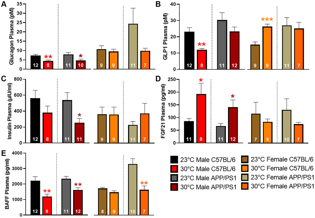 Plasma concentrations of glucose regulating hormones. Plasma expression levels of glucagon (A), glucagon-like peptide 1 (GLP1; B), insulin (C), fibroblast growth factor 21 (FGF21; D), and B-cell activating factor (BAFF; E) as detected by multiplex assay. A two-tailed t-test was used to determine plasma concentration changes within a genotype and sex. *p **p ***p 