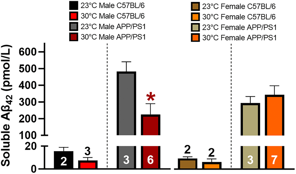 Thermotherapy decreases hippocampal soluble Aβ42 in male mice. Average concentration of hippocampal soluble Aβ42 was determined by ELISA in male and female mice. C57BL/6 mice were used as a negative control as denoted by the segmented y-axis. A two-tailed t-test was used to determine thermotherapy effects within a sex and genotype. The number of animals is either inset or above the error bars on each bar graph. *p 