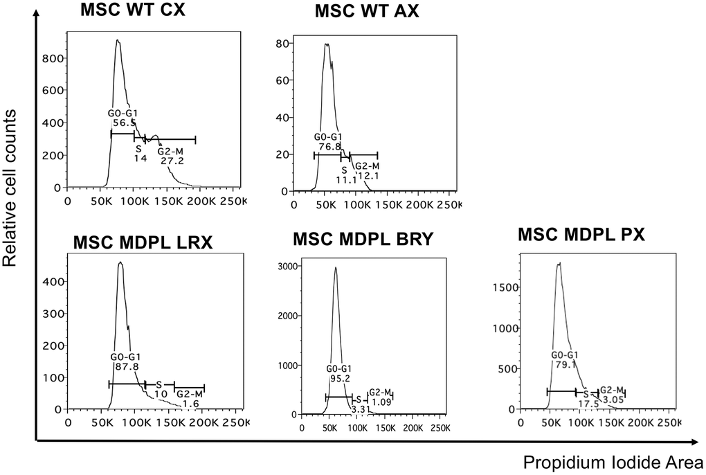 Cell cycle analysis. Histogram plots showing cells in G0/G1, S and G2/M phases of the cell cycle performed with the DNA intercalating dye propidium iodide.