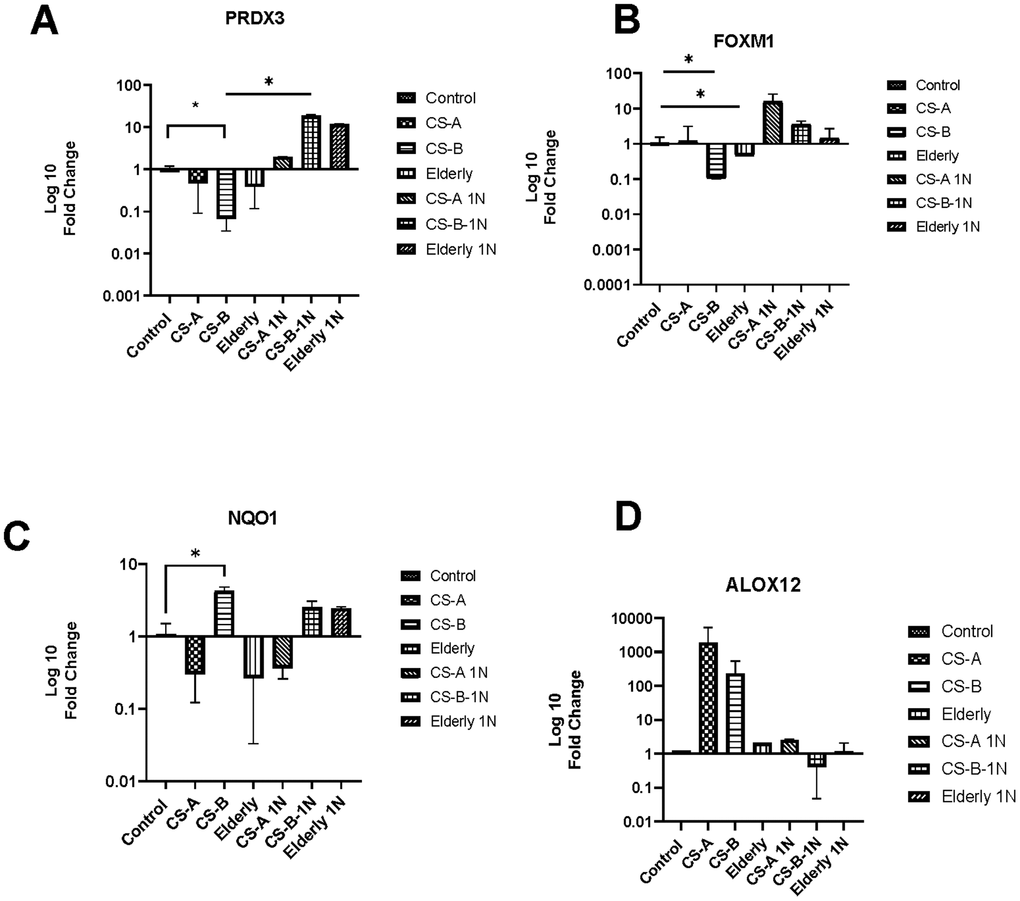 The level of oxidative stress-related gene expression after nicotinamide stimulation. The histograms represent fold-changes in genes up-or downregulated in CS-A, CS-B, elderly group and young healthy donors’ group normalized to non-treated control conditions of each group. (A) PRDX3, (B) FOXM1, (C) NQO1 and (D) ALOX12.