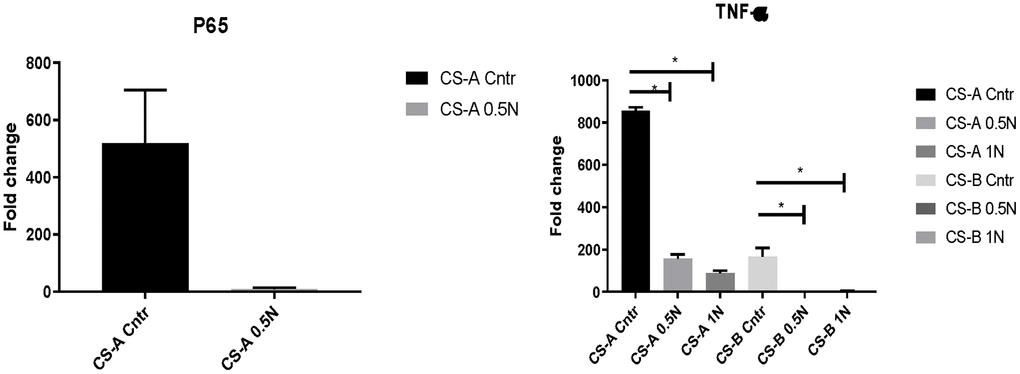 P65 and TNF-a expression in CS affected individuals’ fibroblast normalized to young healthy donors’ group following of 0.5mg/ml and 1mg/ml NAM supplementation. (N=1 for CS groups, done in duplicate).