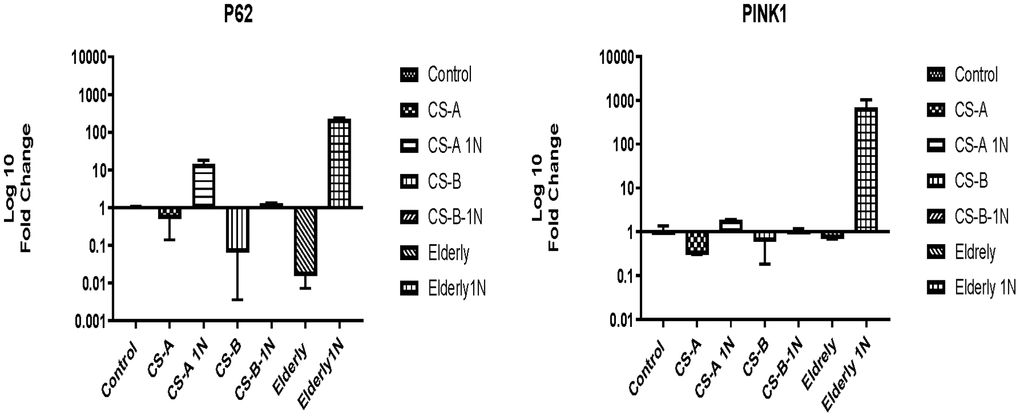 P62 and PINK1 expression in CS-A, CS-B, and elderly affected individuals’ fibroblast normalized to non-treated control conditions of each group under doses of 1mg/ml NAM (N=1 for CS groups done in duplicate).