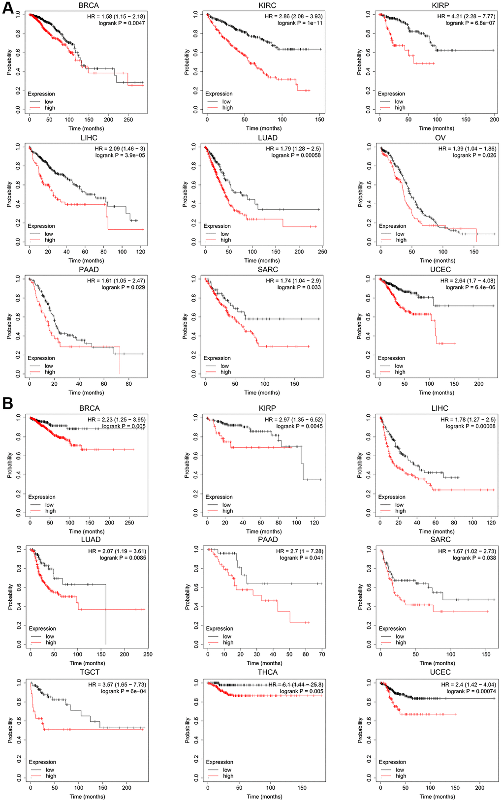  The Kaplan-Meier plotter reflecting CCNE1 expression and (A) overall survival and (B) relapse-free survival. Tumors with higher CCNE1 expression are indicated in red, while those with lower expression are shown in black.