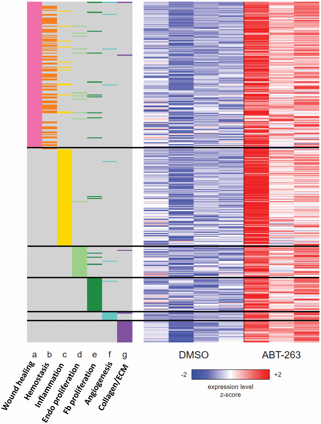 Heatmap of the union set of leading edge genes from seven wound healing related gene sets with significant coordinate upregulation (FDR q  The membership of each gene within each gene set is indicated with a colored box at the side of the heatmap: wound healing (GO:0042060), hemostasis (GO:0007599), inflammatory response (Hallmark), positive regulation of endothelial cell proliferation (GO:0001938), fibroblast proliferation (GO:0048144), angiogenesis (Hallmark), collagen biosynthesis and modifying enzymes (Reactome R-MMU-1650814). Rows and columns correspond to genes and samples, respectively. Rows are sorted from top to bottom first by gene set and then by Wald statistic. Variance-stabilizing-transformed expression values are z-score-normalized to a mean of zero and SD of 1 across all samples in each column, with blue, white and red indicating z scores of ≤ 2, 0, and ≥ 2, respectively.