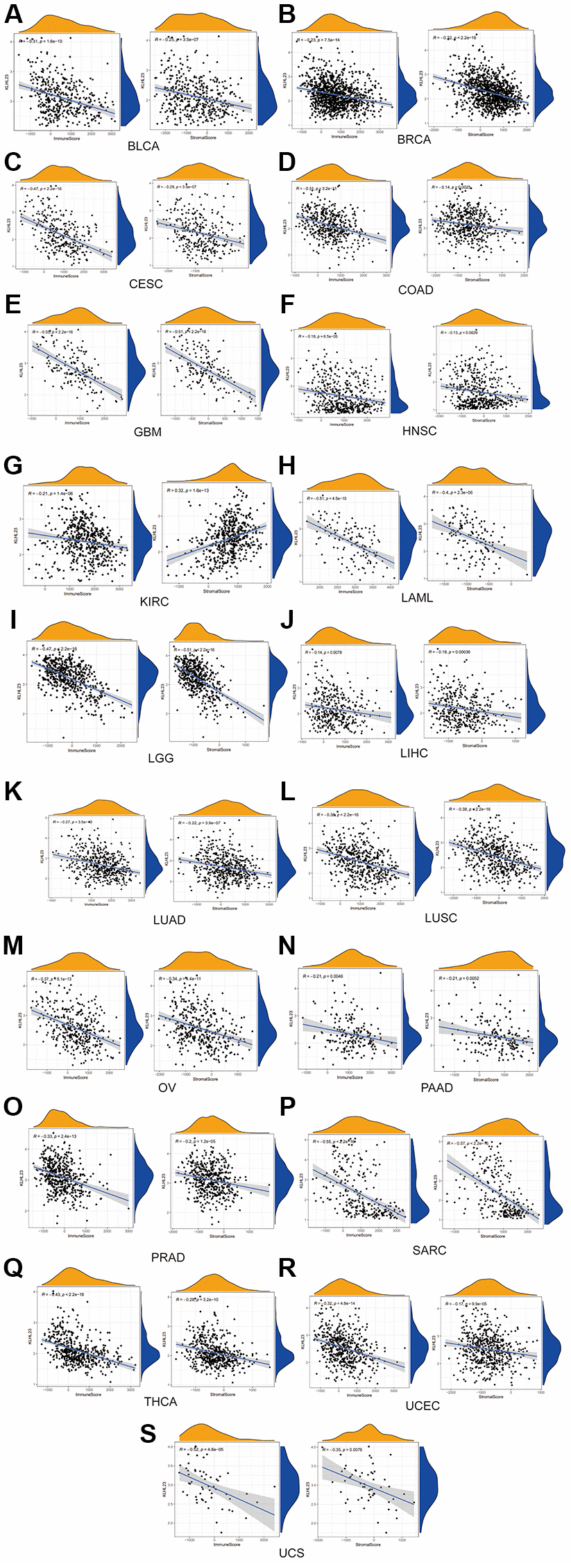 The negative association between KLHL23 expression and immune score and stromal score. (A–S) KLHL23 expression and these scores. Correlation analysis between KLHL23 expression and immune and stromal scores. (R, correlation coefficient; *P **P ***P ****P 