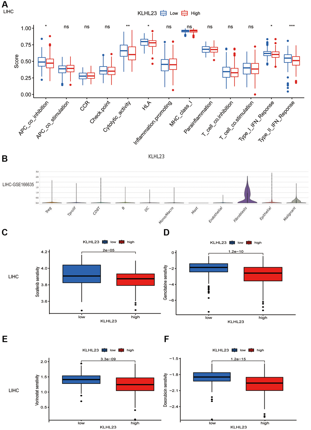 The functional role of KLHL23 in LIHC. (A) Differences in the immune cell signaling pathway in different proportions of immune cells between groups with high and low KLHL23 expression in LIHC. (Abbreviation: ns: no significant difference. *P **P ***P ****P B) Single cell analysis of KLHL23 expression in different cell types. (C–F) Analysis of drug sensitivity based on KLHL23 expression in LIHC. (C) Sorafenib, (D) Gemcitabine, (E) Vorinostat, and (F) Doxorubicin. *P **P ***P ****P 