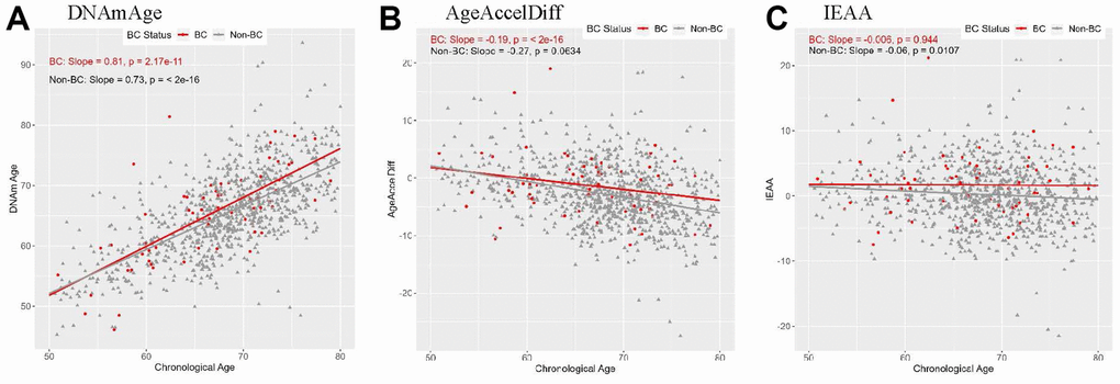 Correlation between DNAmAge/AgeAccelDiff/IEAA and chronologic age by BC status. (AgeAccelDiff, epigenetic age acceleration measured as departure of DNAmAge from chronologic age; IEAA, intrinsic epigenetic age acceleration measured as residuals by regressing DNAmAge on chronologic age, adjusted for cell composition; BC, breast cancer; DNAmAge, DNA methylation–based marker of aging). (A) DNAmAge (B) AgeAccelDiff (C) IEAA.