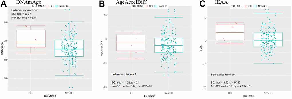 Women with a history of bilateral oophorectomy: distribution of DNAmAge/AgeAccelDiff/IEAA by BC status. (AgeAccelDiff, epigenetic age acceleration measured as departure of DNAmAge from chronologic age; IEAA, intrinsic epigenetic age acceleration as residuals adjusted for cell composition; BC, breast cancer; DNAmAge, DNA methylation–based marker of aging). (A) DNAmAge, (B) AgeAccelDiff, (C) IEAA.