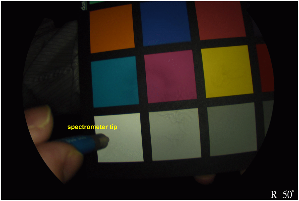 The spectra were collected utilizing a 24-color checker reference and a spectrometer (Ocean Optics, QE65000), with simultaneous measurements of the light source spectrum.