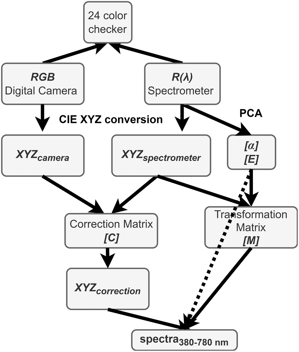 Schematic diagram of the proposed method.