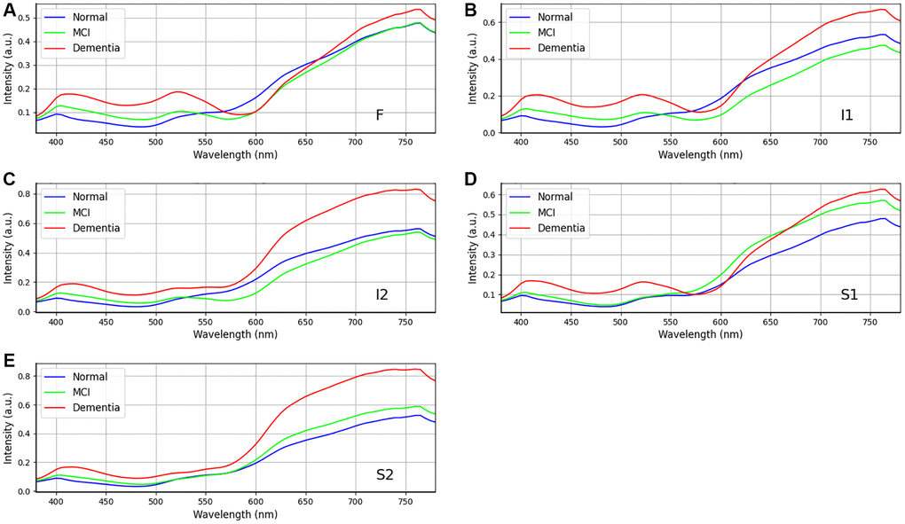 Retinal spectra of the same age men in different degrees of dementia among dementia group (n = 34), MCI group (n = 22), and Normal group (n = 23). (A–E) show the different region in the retina (A) F, (B) I1, (C) I2, (D) S1, and (E) S2. Positions I2 and S2 show the difference in the wavelength range from 600 to 750 nm. Data shown as mean normalized spectrum.