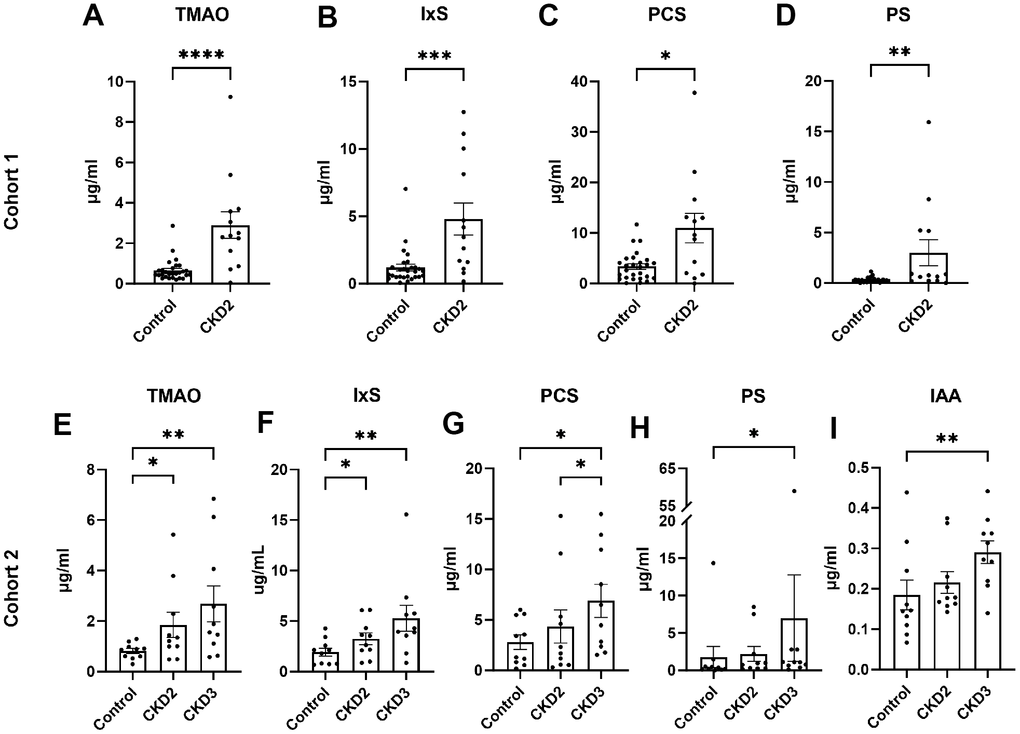 Serum concentrations of uremic toxins. The concentrations of uremic toxins were quantified in cohort 1 (A–D) and cohort 2 (E–I). Asterisks (*) indicate statistical significance from (A–D) Mann-Whitney test and (E–M) Dunn’s multiple comparisons test: *Pp-cresol sulfate; PS, phenyl sulfate; IAA, indole-3-acetic acid; CKD2, CKD stage 2; CKD3, CKD stage 3.