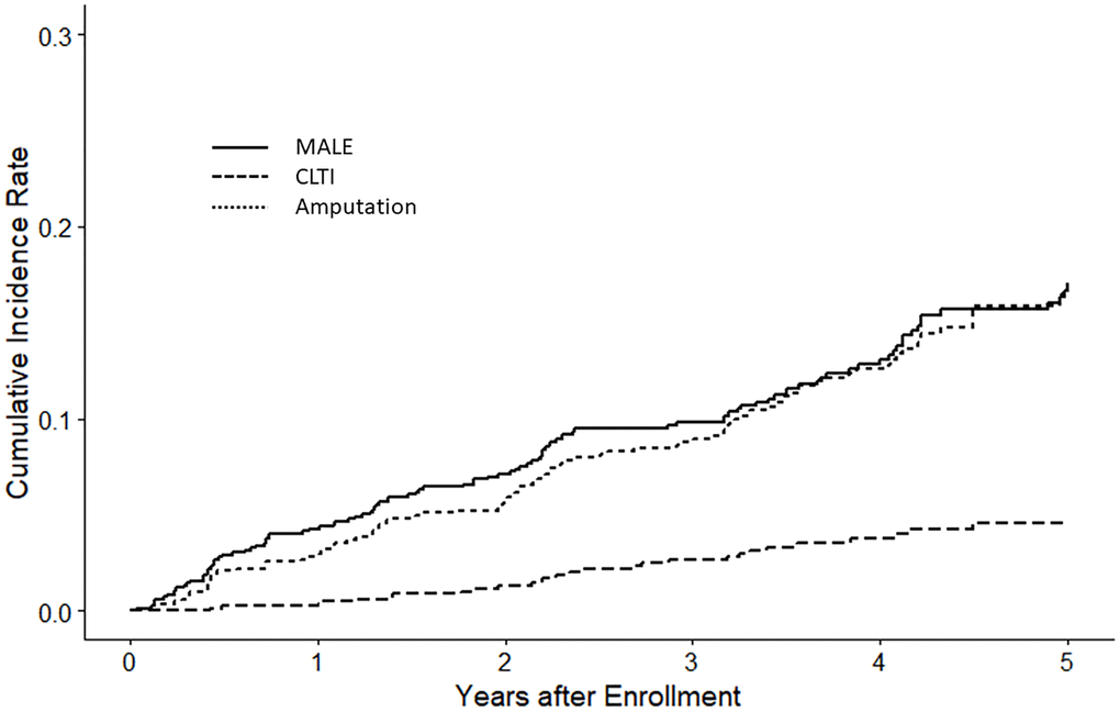 Kaplan–Meier plot of lower limb vascular events. The figure presents lower limb vascular events within the entire study cohort, encompassing major adverse limb events (MALE), chronic limb-threatening ischemia (CLTI), and amputations.