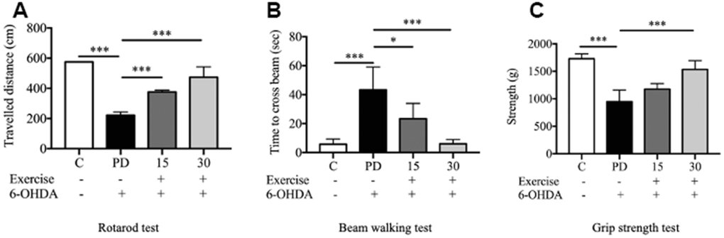 Assessment of motor impairment. (A) Rotarod test; (B) Motor coordination and balance assessed by the beam walking test; (C) Grip strength. Data are presented as the mean ± standard deviation (SD) (n = 5/group). Significance was determined by a one-way ANOVA with Tukey’s post-hoc test. *p p p 